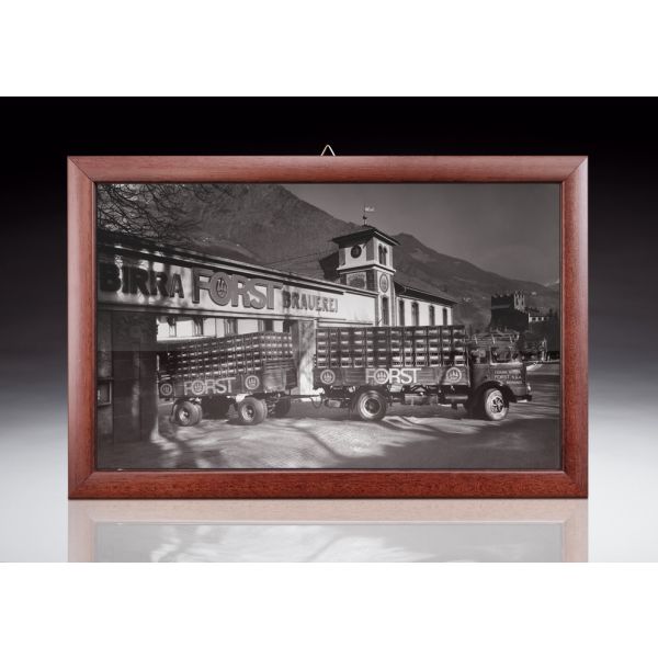 FORST QUADRO