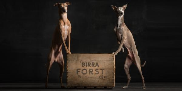 Birra FORST promuove gli scatti fotografici per gli amici a quattro zampe.