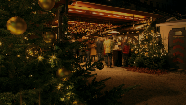 THE CHRISTMAS FOREST 2025-2026