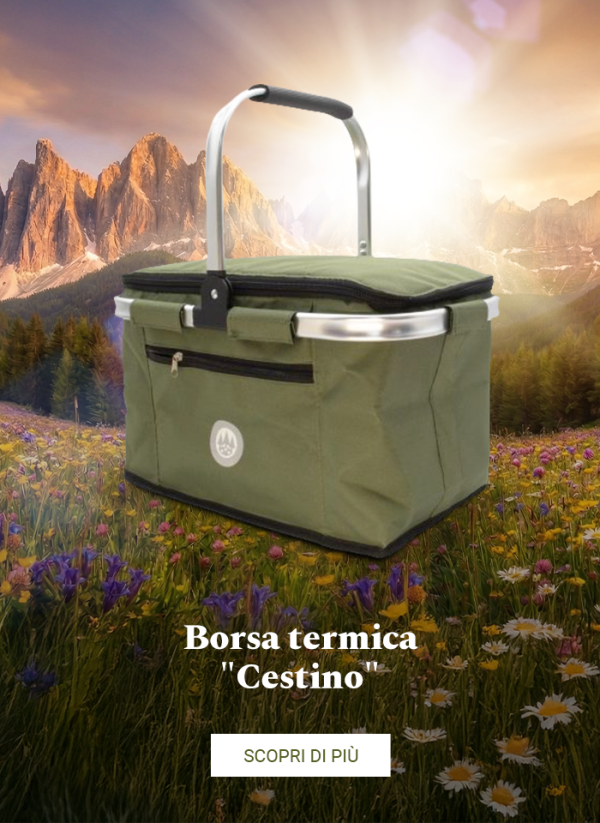 010426 - Borsa termica