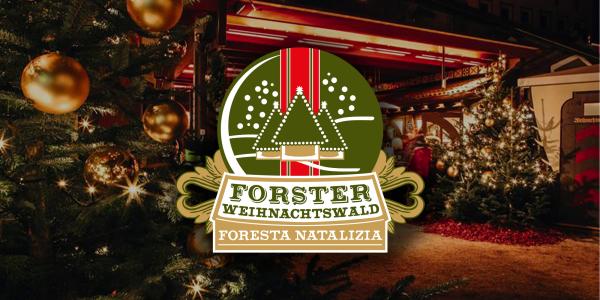 Der Forster Weihnachtswald lädt zu weihnachtlicher Stimmung ein.